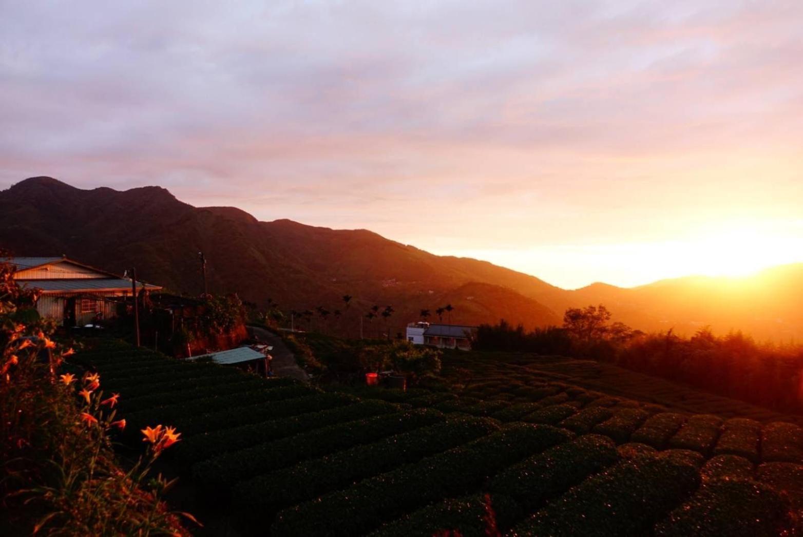 Gaodiyuan Tea B&B 高帝園茶業民宿 Meishan Eksteriør bilde