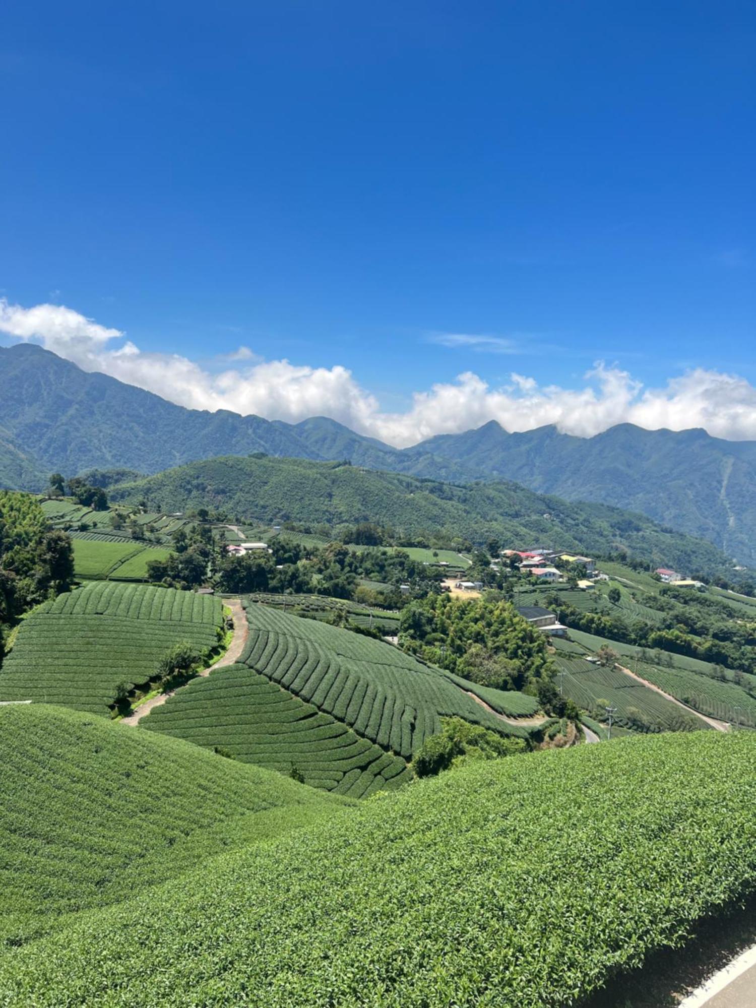 Gaodiyuan Tea B&B 高帝園茶業民宿 Meishan Eksteriør bilde