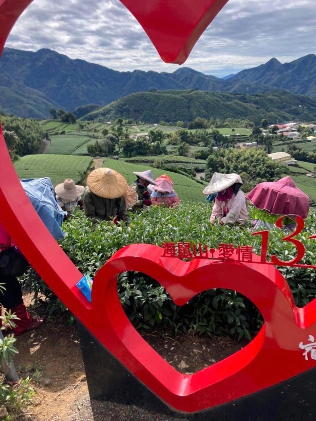 Gaodiyuan Tea B&B 高帝園茶業民宿 Meishan Eksteriør bilde